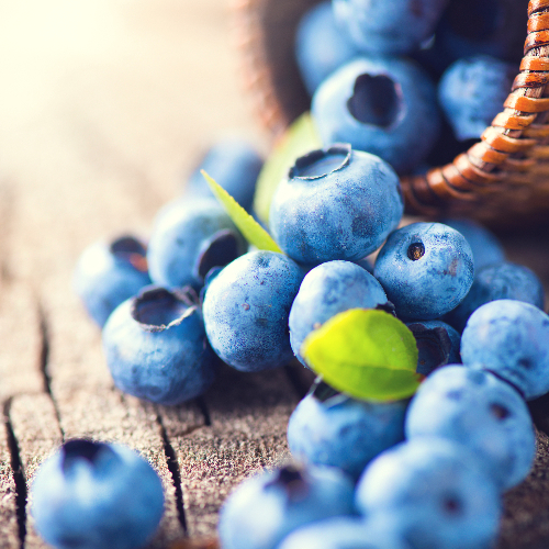 Bosbessen zitten vol antioxidanten